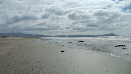Llantera Martínez en Ensenada