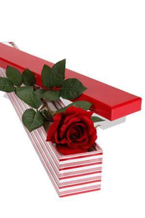 Importadora y Proveedora de Llantas Nuevas y Usadas San Pedro S.A. de C.V. en Mexicali