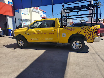 Napa Autocare Center en Ensenada