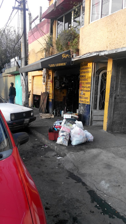 Los Leones en Naucalpan de Juárez