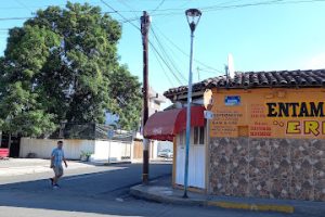 Partes Dina de Tecomán en Tecomán