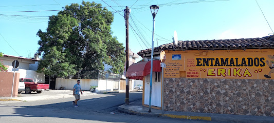 Partes Dina de Tecomán en Tecomán