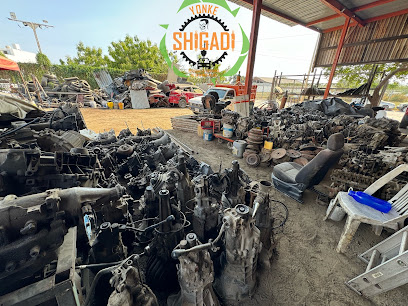 Yonke Shigadi (Salagua) en Manzanillo