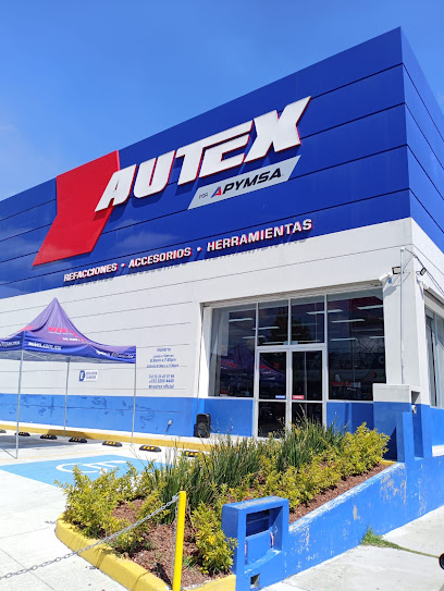 Autex en Toluca de Lerdo