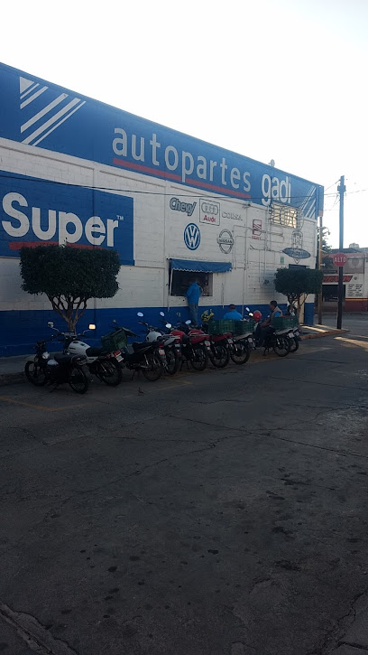 Autopartes Gadi (Juárez 1101) en León