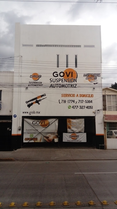 Govi Hidalgo en León