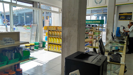 Rolcar Aeropuerto en León