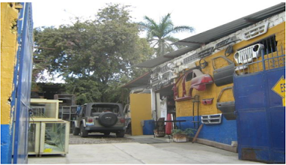 Autopartes de Colisión en Puerto Vallarta