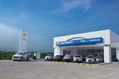 Chevrolet Fame Lázaro Cárdenas en Lázaro Cárdenas