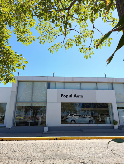 Popul Auto de Puerto Vallarta en Puerto Vallarta