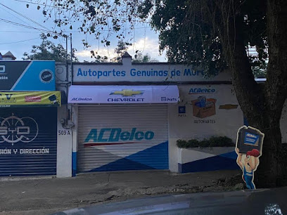 Autopartes Genuinas de Morelos en Cuernavaca