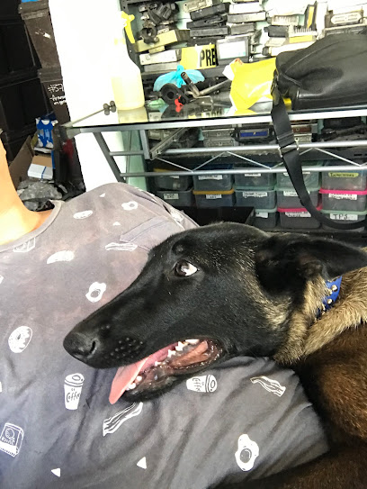 Deshusadero y Autopartes del Sureste en Chetumal