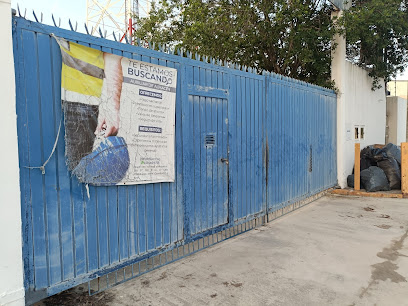 Grupo Morsa de México S.A de C.V en Cancún