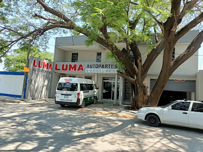 Luma Autopartes en Cd. Valles