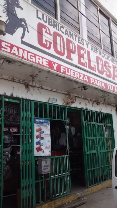 Copelosa en Oaxaca de Juárez