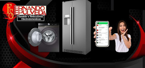 Fernando Sepulveda Partes Electrodomesticas y Servicio San Nicolas en San Nicolás de los Garza