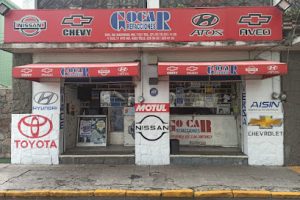 Gocar Refacciones en Puebla
