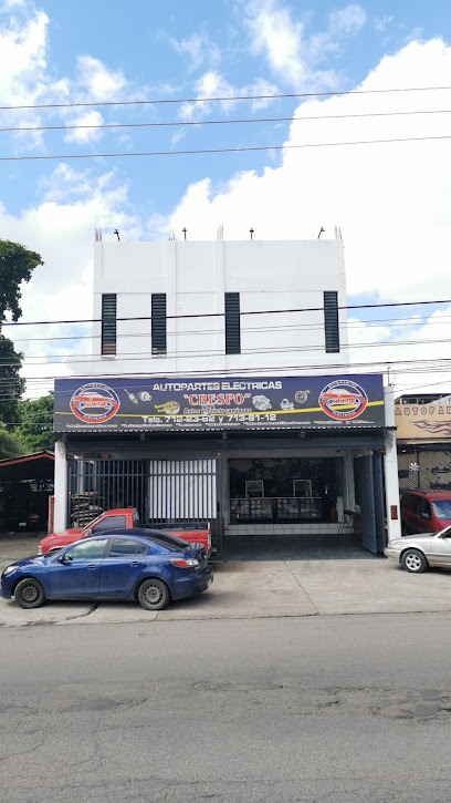 Auto Partes Eléctricas Crespo en Culiacán Rosales