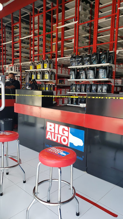 Big Auto, Refaccionaria, Autopartes, Refacciones Suc Tampico Aeropuerto en Tampico