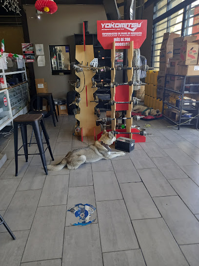 Ds Refacciones Automotrices en San Luis Potosí