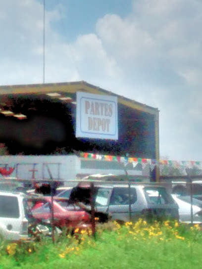 Partes Depot en Soledad de Graciano Sánchez