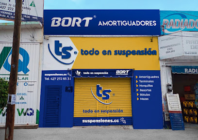 Todo en Suspensión - Panamericana Sjr en San Juan del Río